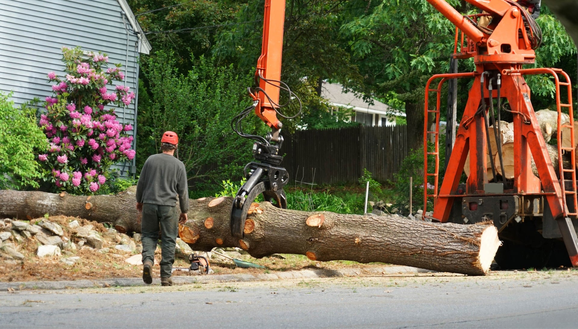 Tree removal services in Huntington Beach